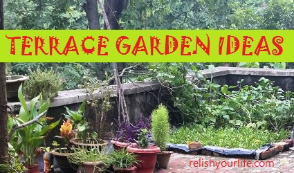 Terrace Garden Ideas